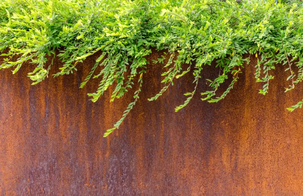 Detail van cortenstaalpatina op een maatwerk plantenbak
